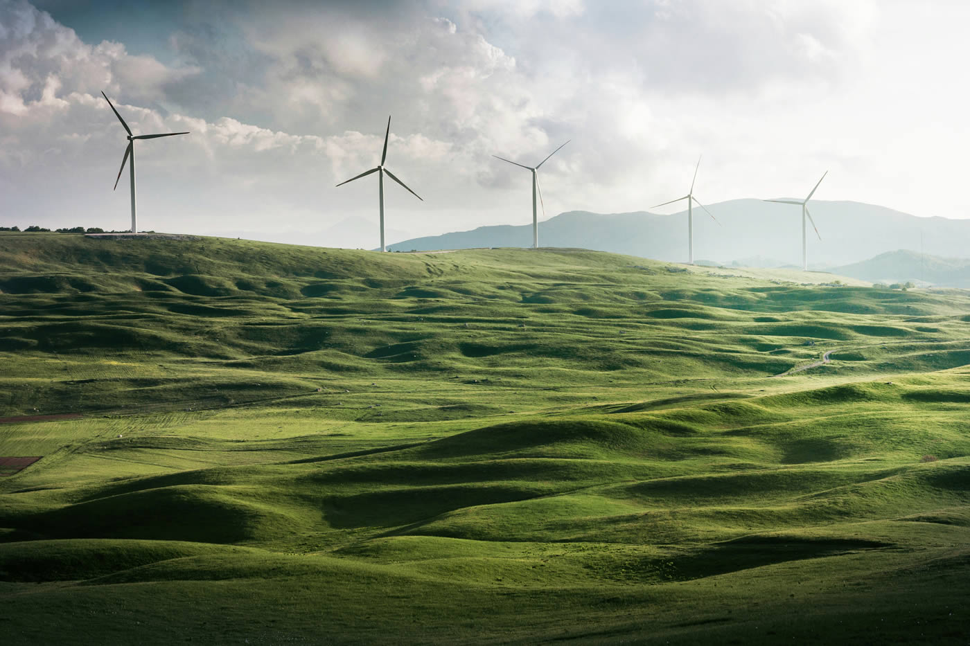 Sustainability in the Exhibition Industry - Interface Worldwide